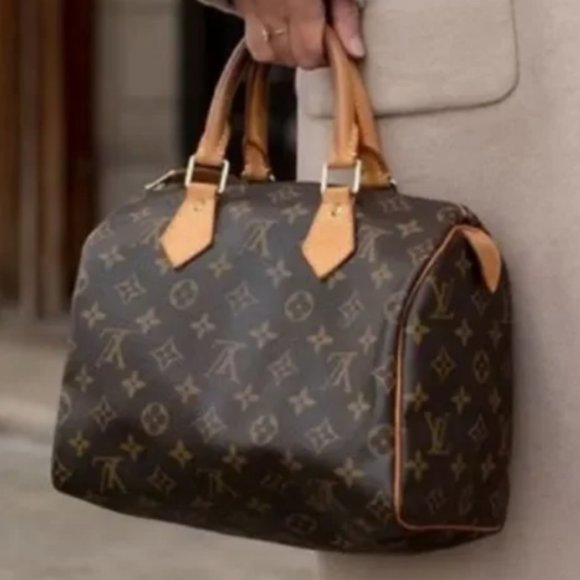 Louis Vuitton Handbags - LOUIS VUITTON SPEEDY 30